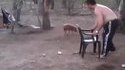 Comment attraper un porcelet