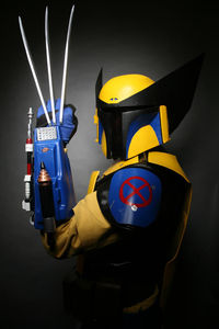 Cosplay mashup