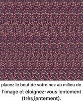 Ilusion d'optique
