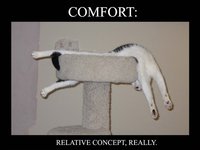 Le confort