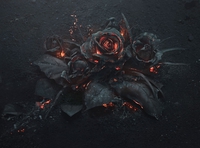 « Ash » de Peter Jaworowski