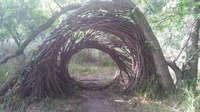La ronde des arbres