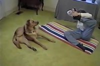 Chien et yoga