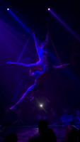 Cirque 