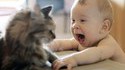 Des bébés et des chats