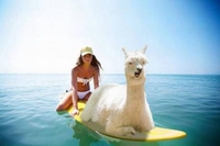 Serge en vacances
