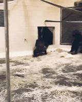 arrivée super classe ! ... oopa