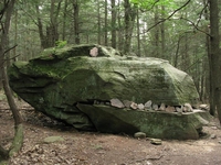 Un fossile