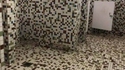 Déco de toilettes idoines pour faire ch...