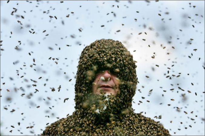 Un homme complètement recouvert d'abeilles.
