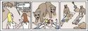 Des ours !