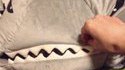 Triste : chat mangé par un requin