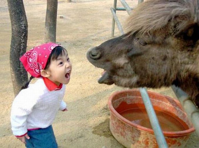 Une fillette contre un poney.
