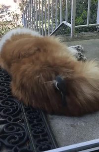 Le prélèvement à la source arrive