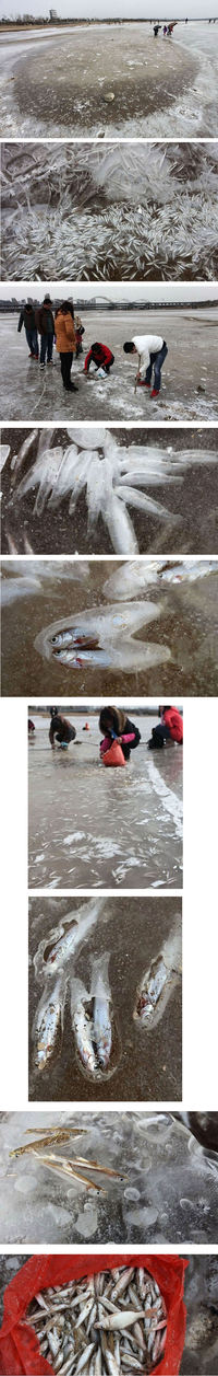 Poisson frais en Chine