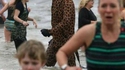 Une girafe à la plage
