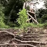 Aouch !...ça doit faire mal... très mal !