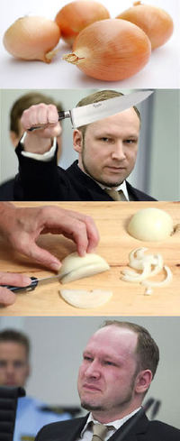 NON ! Anders Breivik n'est pas insensible