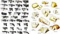 Armes de destruction massive