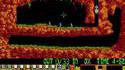 Lemmings chiliens