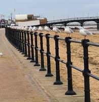 Gaaaaaarde à vous !