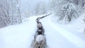 L'hiver est arrivé