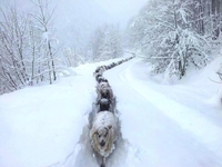 L'hiver est arrivé