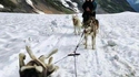 Un pneu crevé en Alaska
