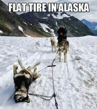 Un pneu crevé en Alaska