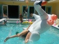 Piscine WTF