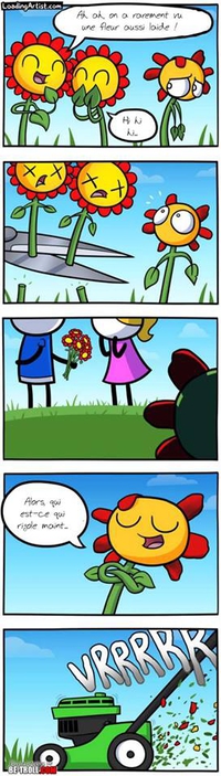 Une histoire de fleurs