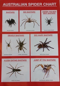 Apprendre à les reconnaître