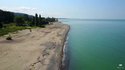 Une mouette et un drone