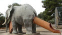 Toboggan éléphant