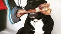 Mon chien s'appelle Oskour'