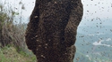 L'homme abeille