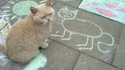 Un chat qui semble aimer le figuratif