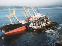 Petits bateaux tétant leur maman-bateau