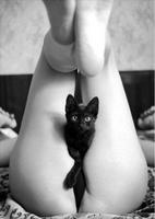 Chattes