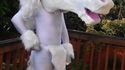Cosplay de licorne