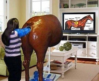 Horse Simulation