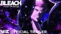 Bleach le retour en animé