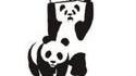 World Wrestling Federation