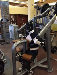 Go go power ranger