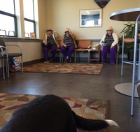 La matrice déconne vraiment