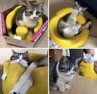 oh merci ! c'est un super jouet !