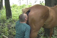 Mangez du cheval