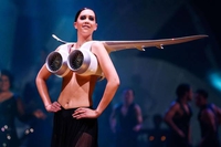 Un avion de chasse ?