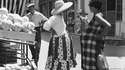 Cavaillon 1962