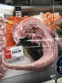 Qui n'a pas son petit alligator pour le dîner de ce soir ?